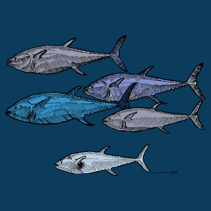 Fish Drawing - School Of Tuna Fish - Full Color by Karl Addison