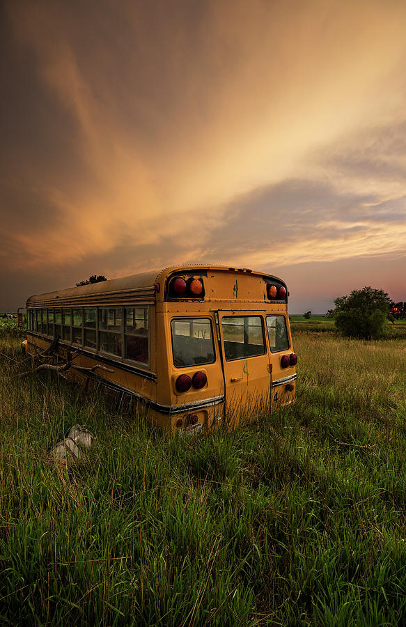 Field Photograph - Schools Out  by Aaron J Groen