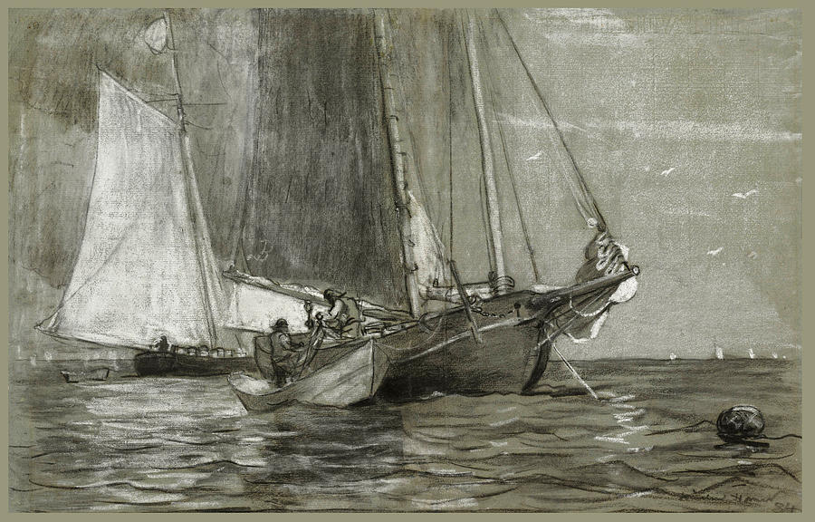 Schooner at Anchor Drawing by Winslow Homer