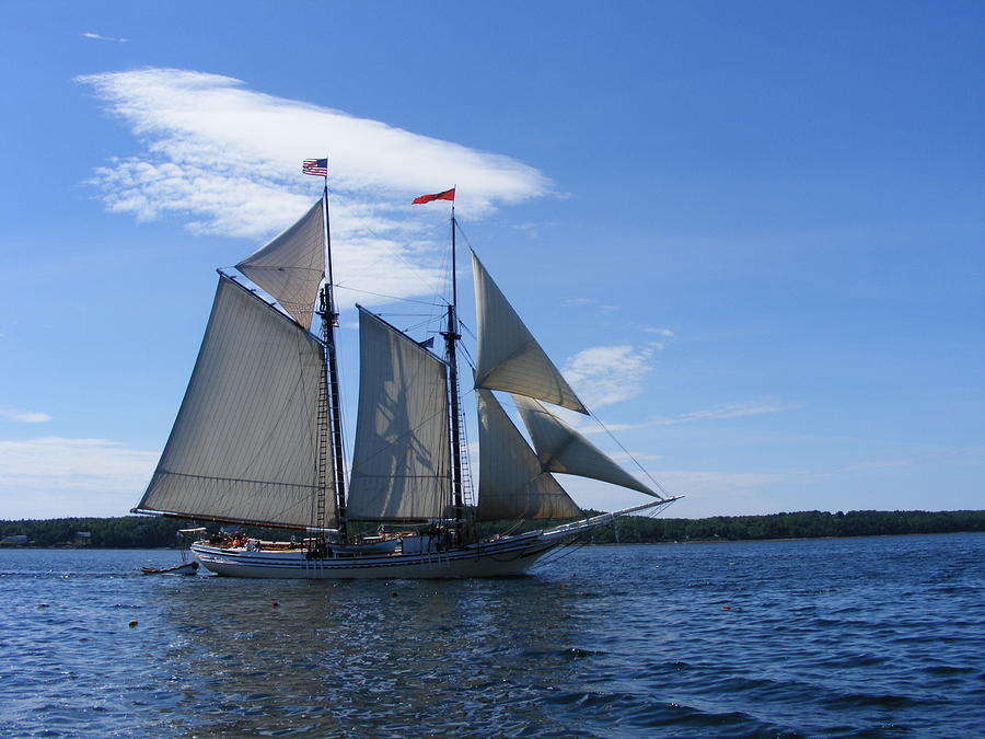 Schooner Heritage Photograph by David Mills - Fine Art America