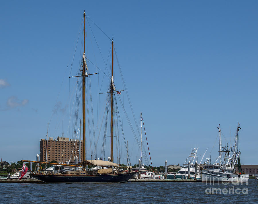 Schooner in Port Photograph by Dale Powell