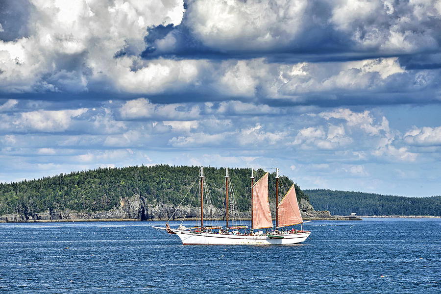 Schooner Margaret Todd in Bar Harbor Maine Photograph by Brendan Reals