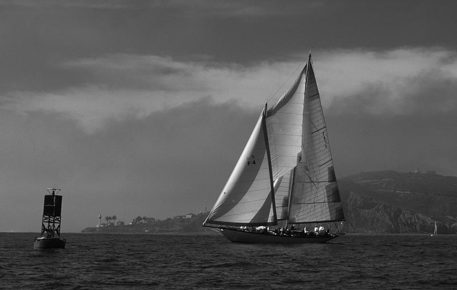 Schooner off Point Loma Photograph by David Shuler