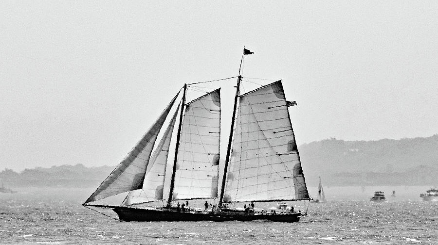 Schooner on New York Harbor No. 3-1 Photograph by Sandy Taylor