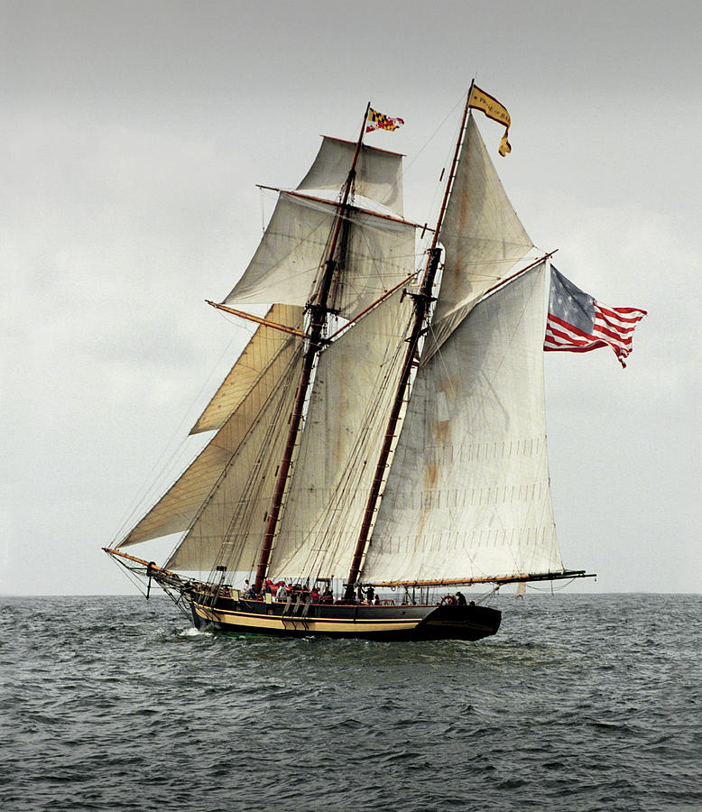 Schooner Pride of Baltimore II Photograph by Fred LeBlanc