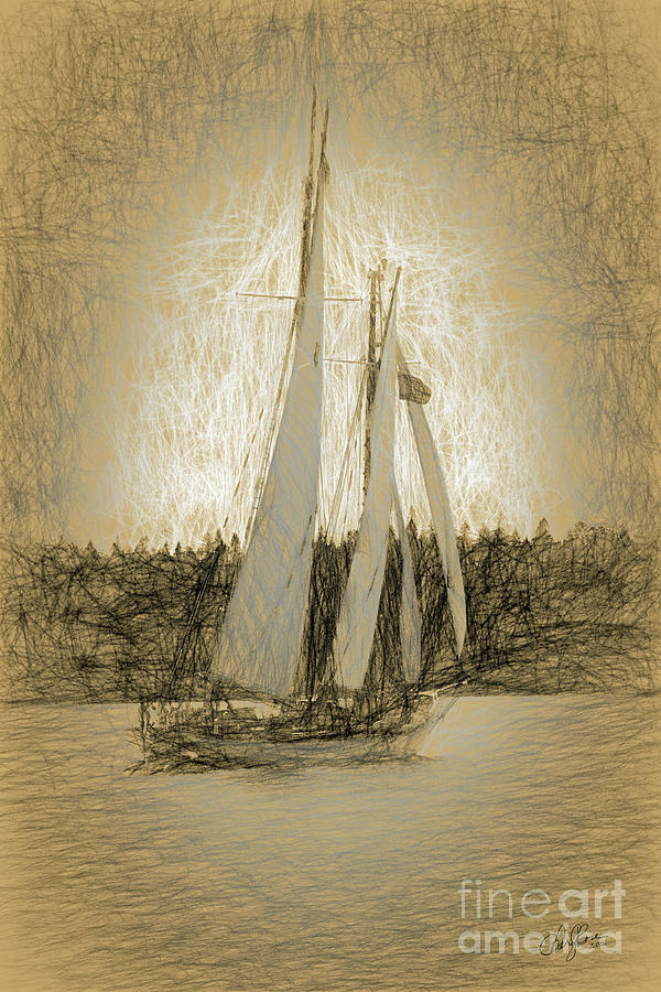 Schooner Sailing Photograph by Cheryl Rose