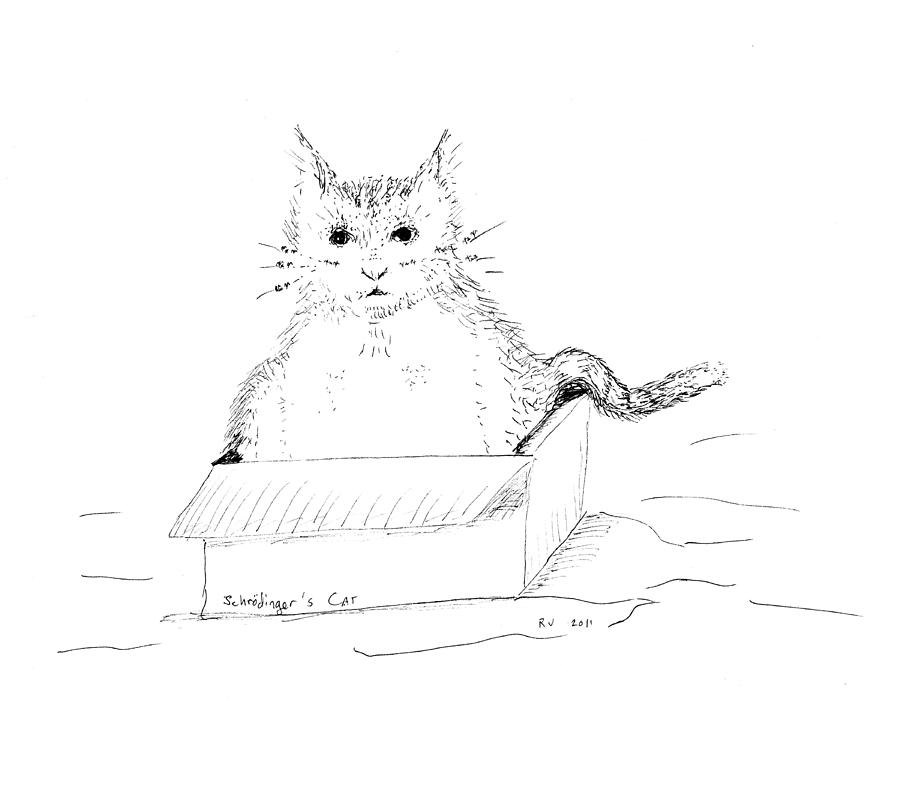 Schrodinger Cat Drawing by Regina Valluzzi