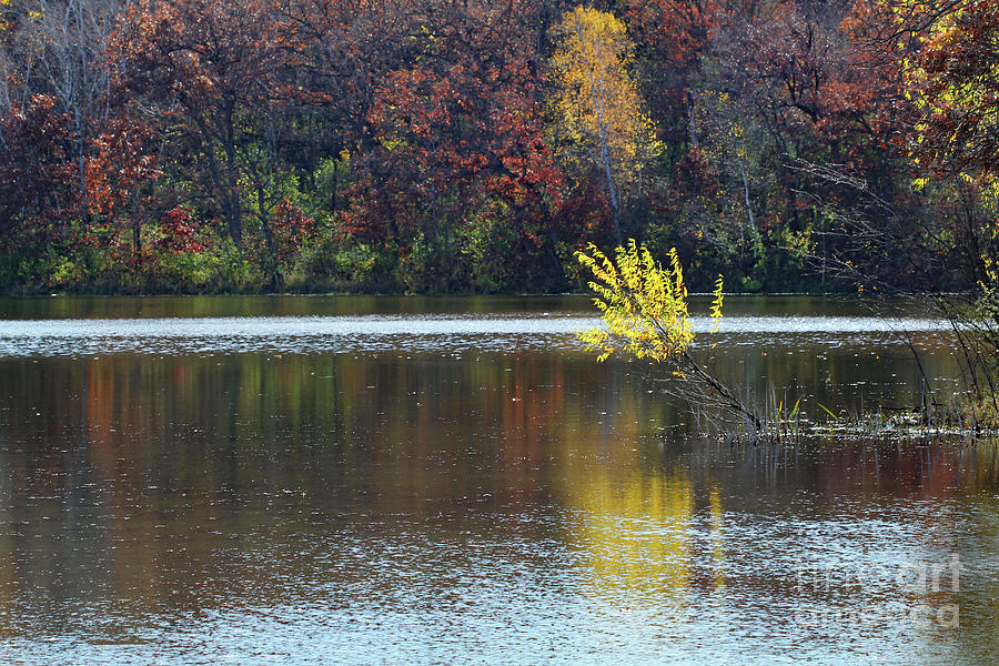 Schulze Lake in Autumn Photograph by Jimmy Ostgard