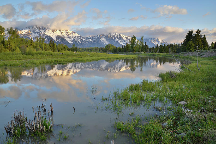 Schwabacher Landing Morning Photograph by Ray Mathis
