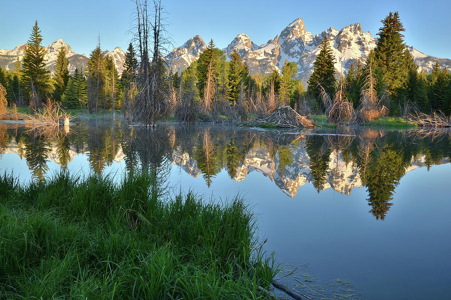 Schwabacher Landing Reflection Photograph by Ray Mathis