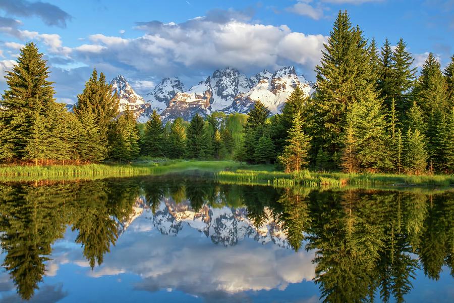 Schwabacher's Mirror Photograph by Harriet Feagin - Fine Art America