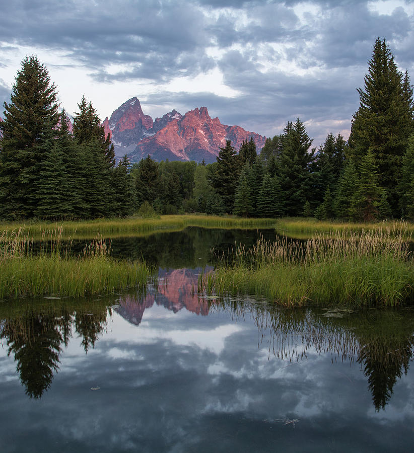 Schwabachers Landing Photograph by Janis Connell