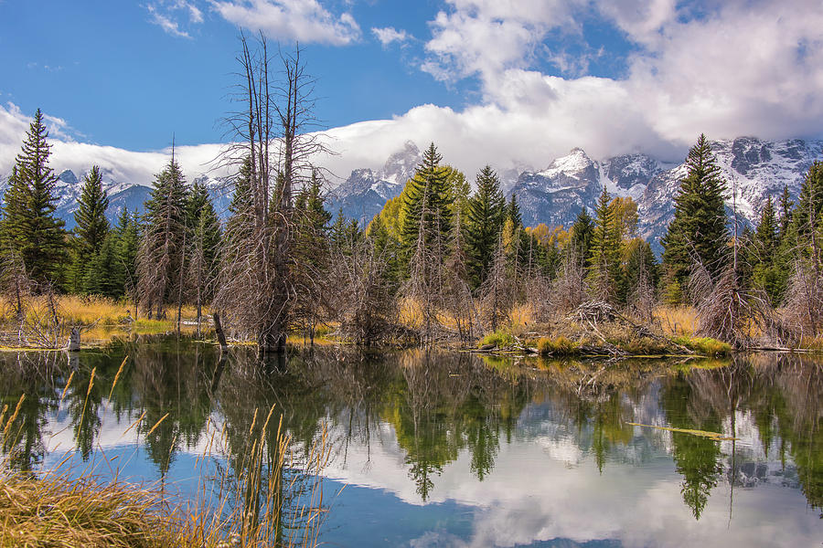 Schwabachers October Autumn Photograph by Yeates Photography