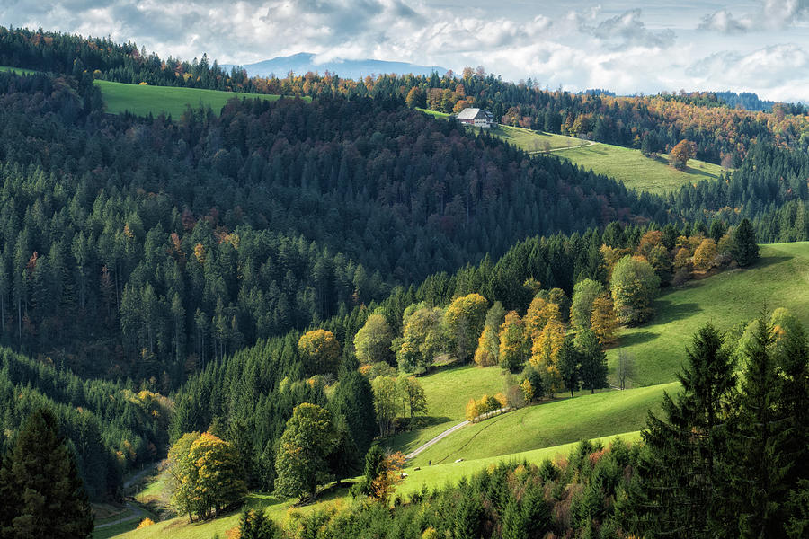 Schwarzwald Black Forest landscape Germany Photograph by Matthias Hauser