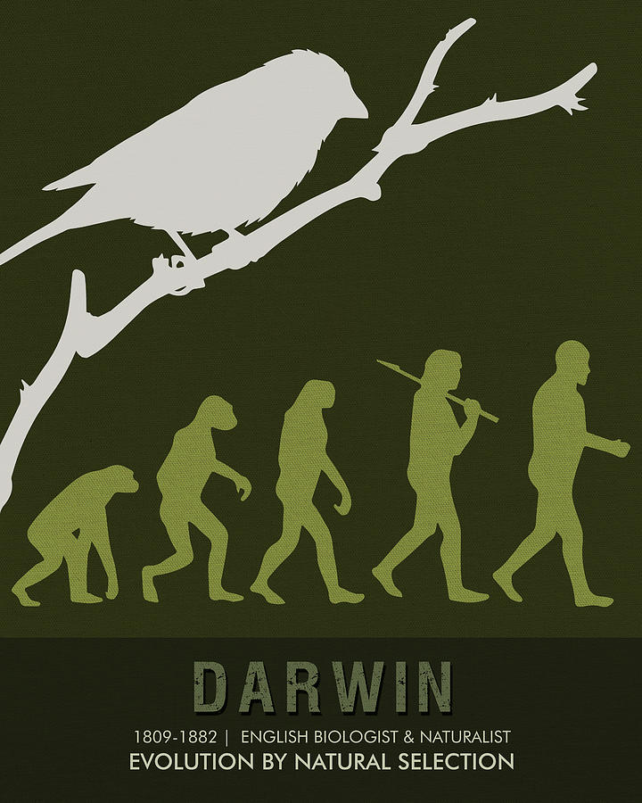 Science Posters - Charles Darwin - Biologist, Naturalist Mixed Media by Studio Grafiikka