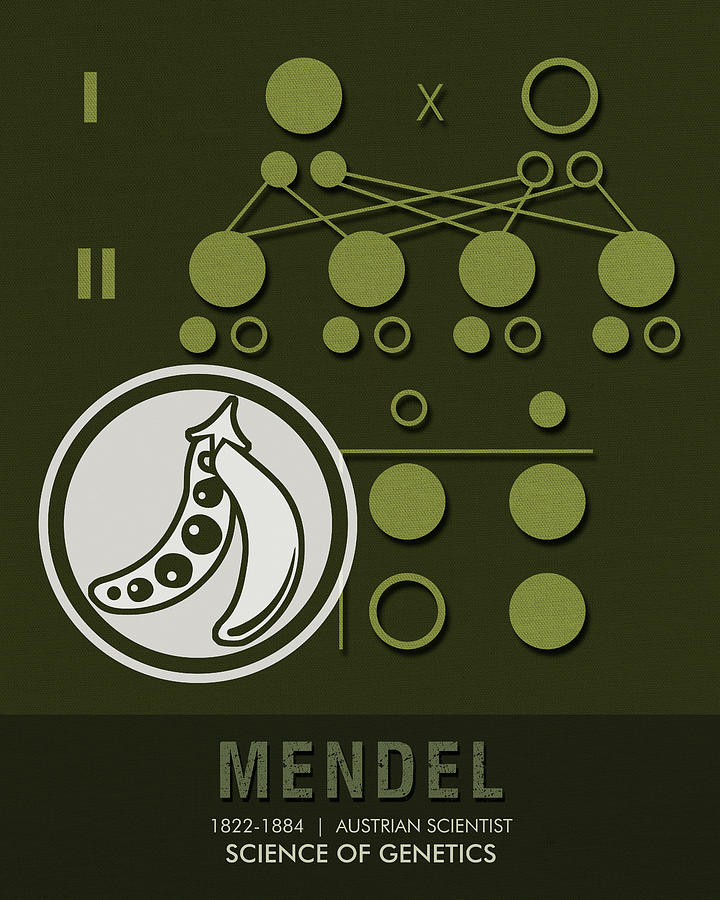 Science Posters - Gregor Mendel - Geneticist, Scientist Mixed Media