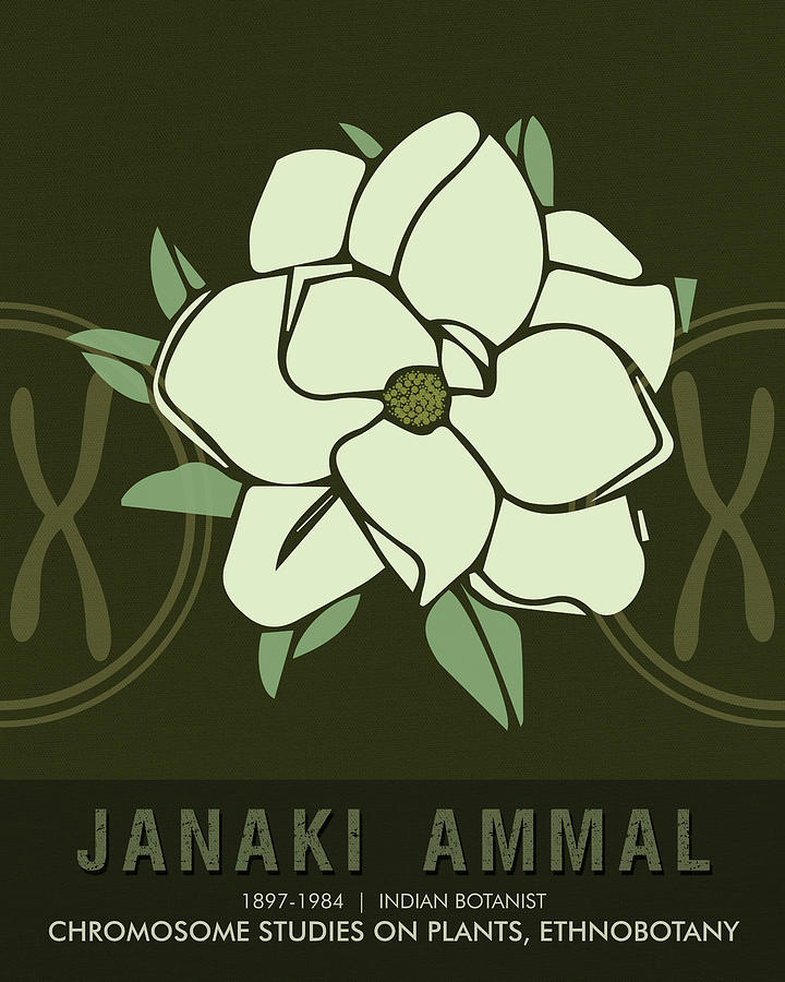 Science Posters - Janaki Ammal - Botanist Mixed Media by Studio Grafiikka