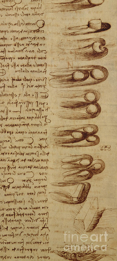 The Da Vinci Code Drawing - Scientific diagrams by Leonardo Da Vinci