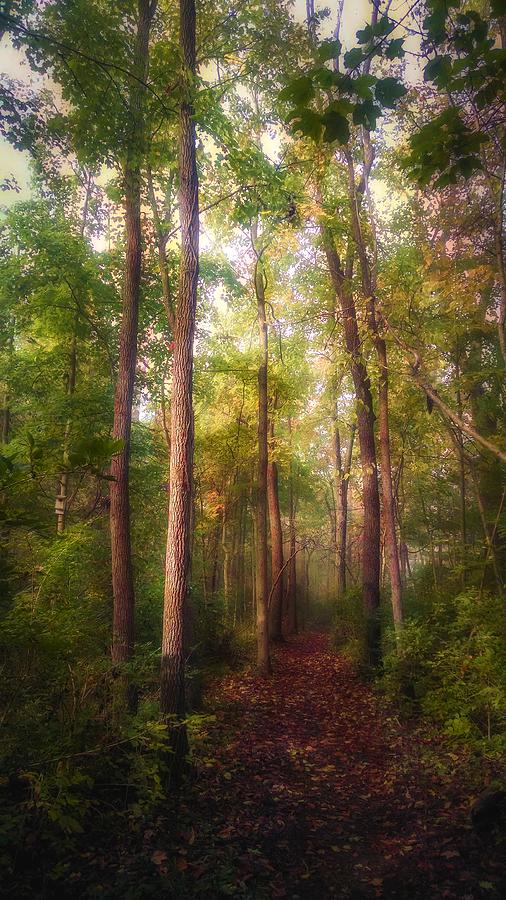 Scioto Run by David Kuhn Scioto Run by David Kuhn