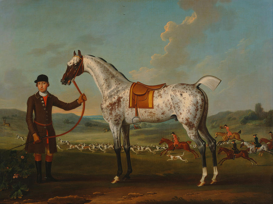 Vintage Painting - Scipio - A Spotted Hunter - Property Of Colonel Roche  by Mountain Dreams