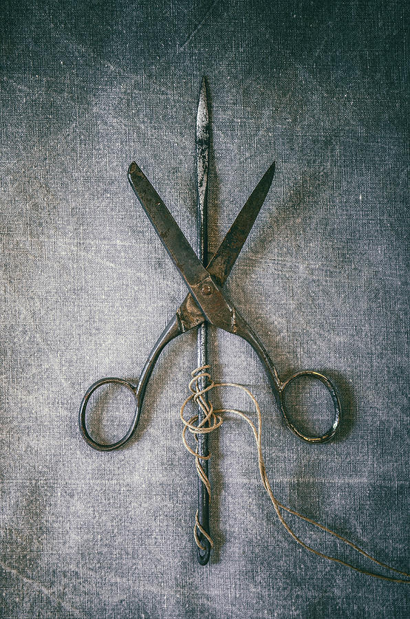 Scissors and Needle Photograph by Carlos Caetano