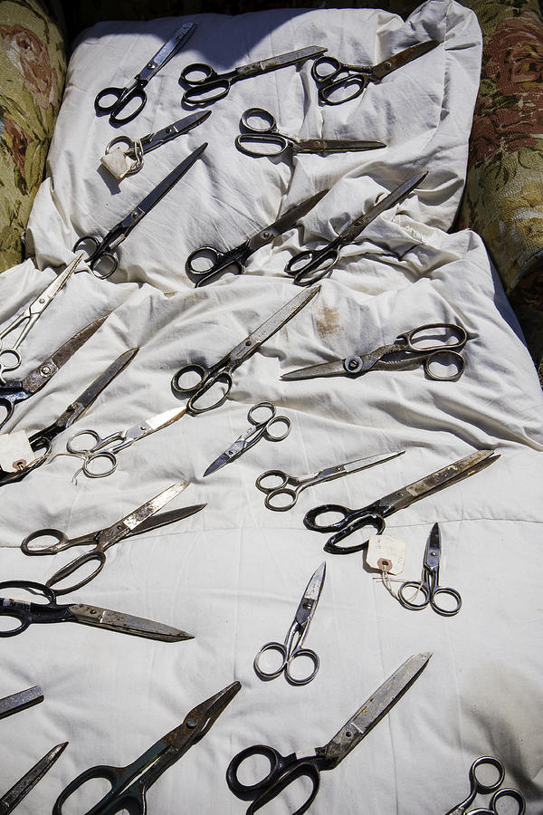Still Life Photograph - Scissors Bed by Garry Gay
