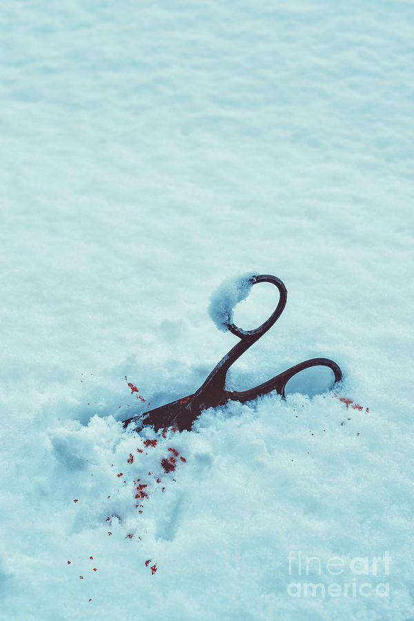 Tool Photograph - Scissors In Snow  by Amanda Elwell
