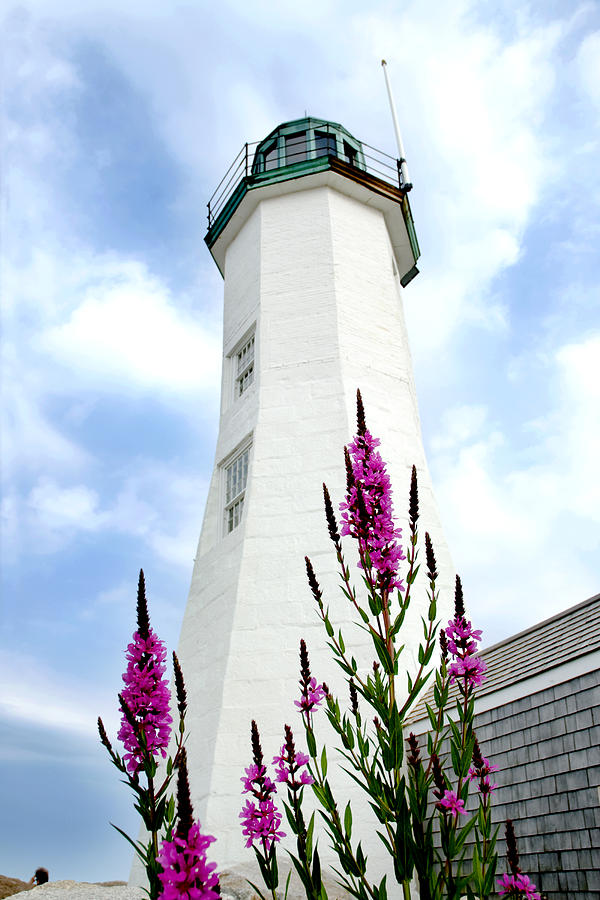 Scituate Light Photograph by Greg Fortier