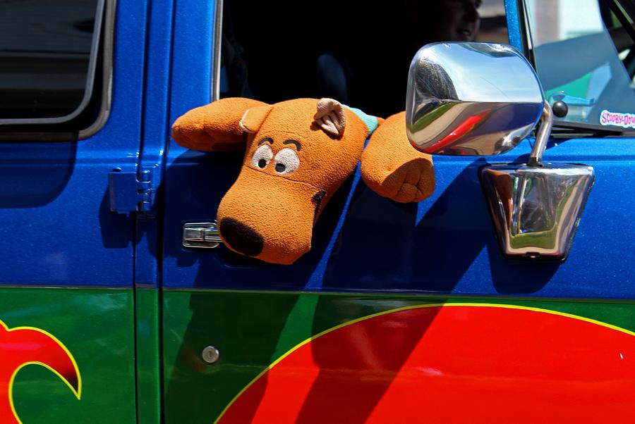 Scooby Doo Photograph by Michiale Schneider