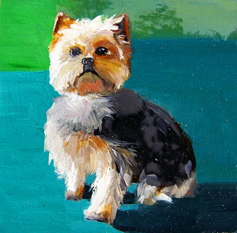 Dog Painting - Scooter by Chelsie Brady