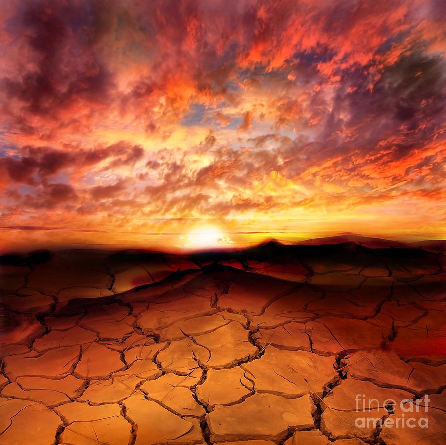 Scorched Earth Photograph