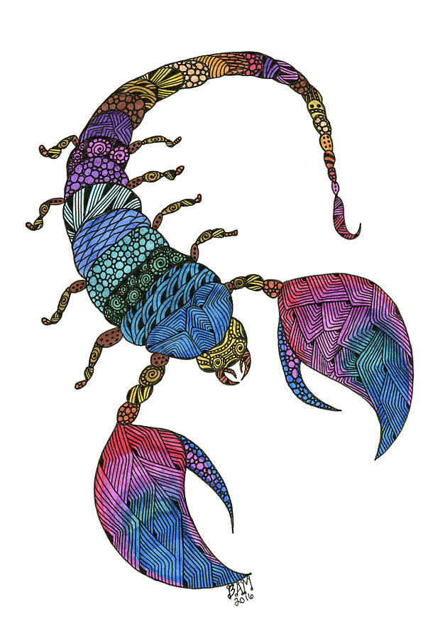 Scorpio Drawing by Barbara McConoughey Pixels