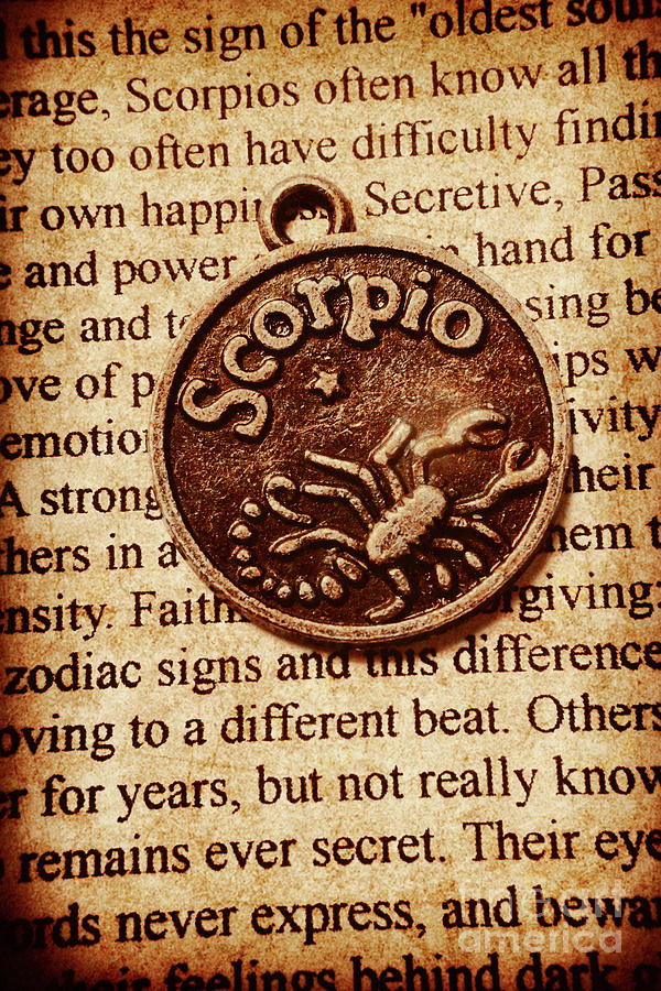 Vintage Photograph - Scorpio parchment by Jorgo Photography