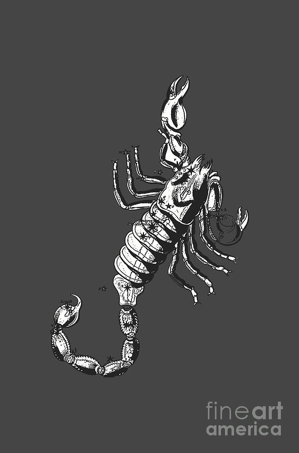 Scorpio Zodiac Sign Vintage tee Digital Art by Edward Fielding