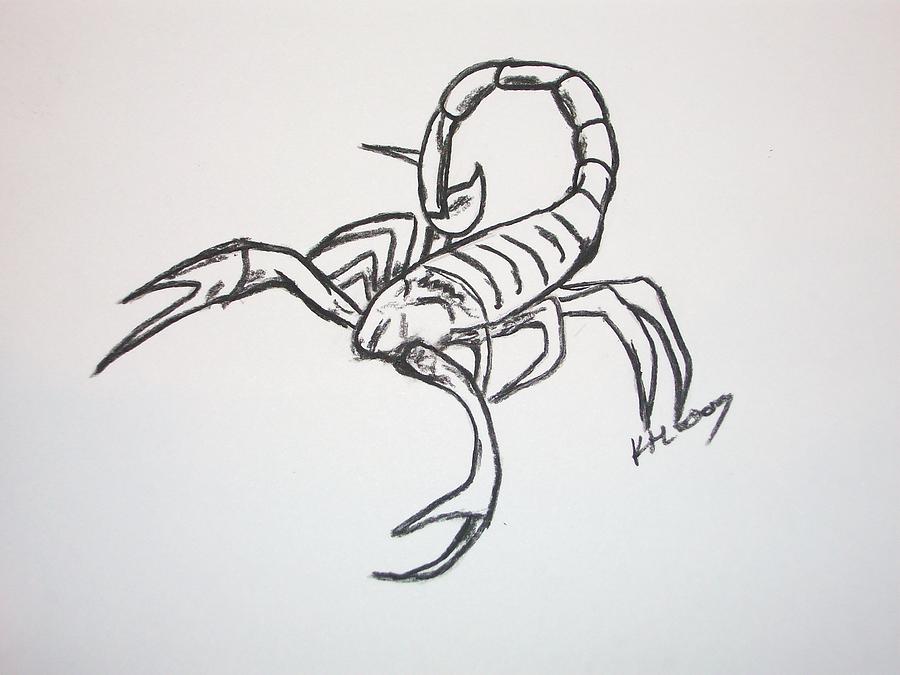 Black and white pencil drawing of a Scorpion