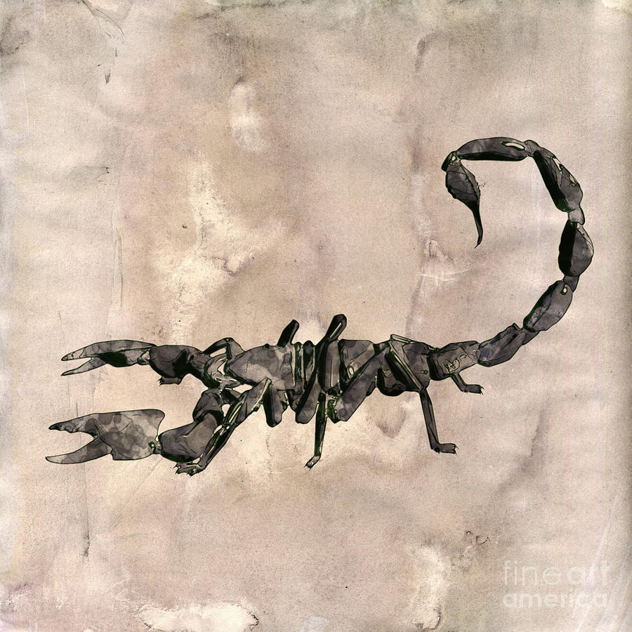 Nature Digital Art - Scorpion Pop Art by Mary Bassett by Esoterica Art Agency