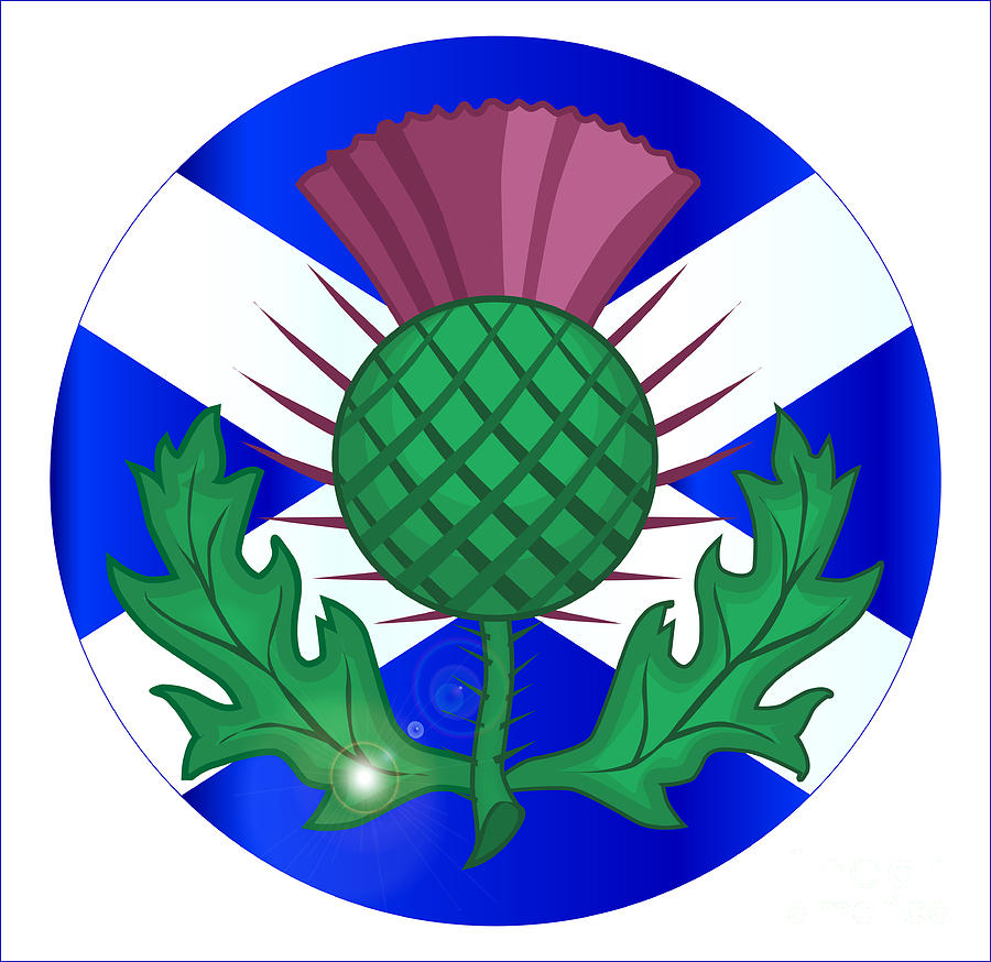 Scotish Flag And Thistle Button Digital Art by Bigalbaloo Stock - Fine ...