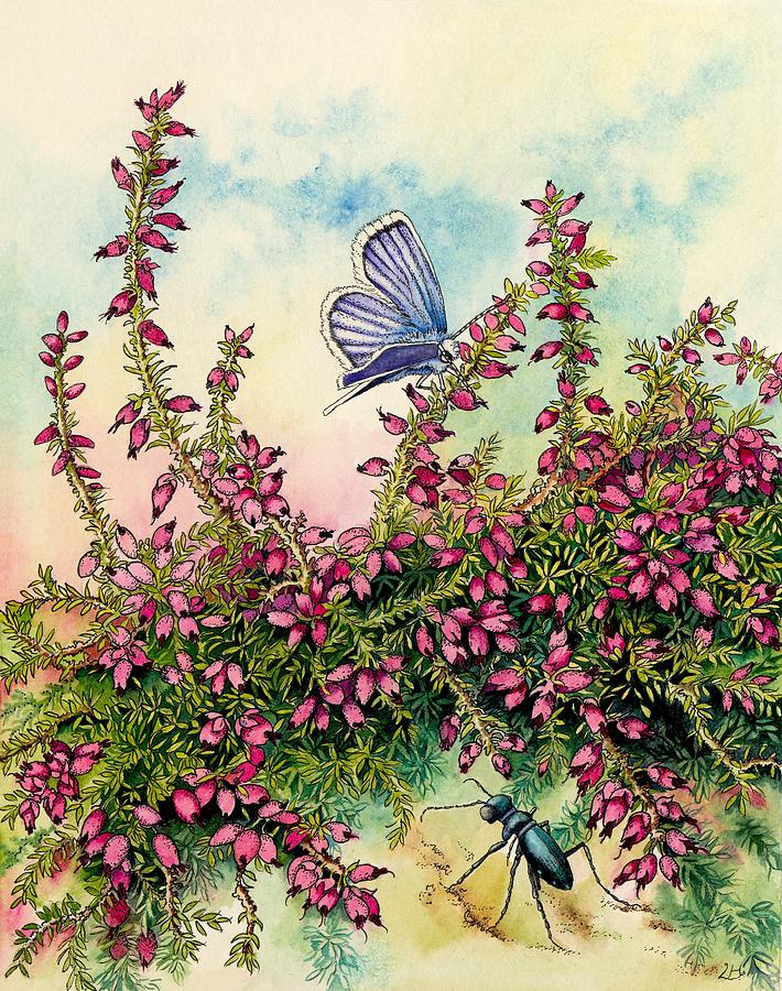 Scottish Heather, Carabid Beetle, and Silver-studded Blue  Painting by Lynne Henderson