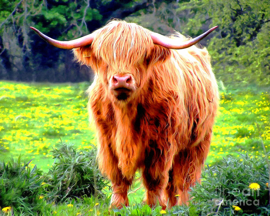Scottish Highland Cattle Cow Painterly 20170920 Photograph by Wingsdomain Art and Photography