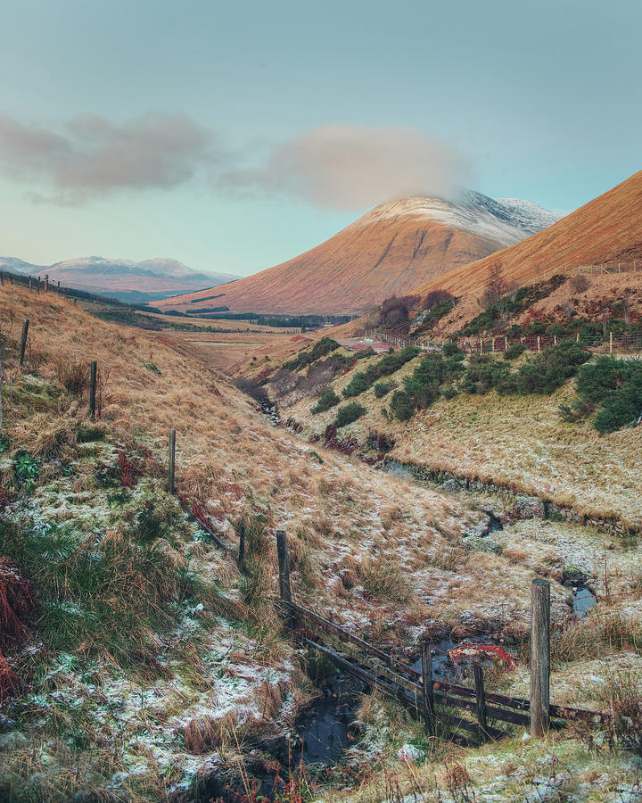 Scottish Highlands Photograph by Ray Devlin