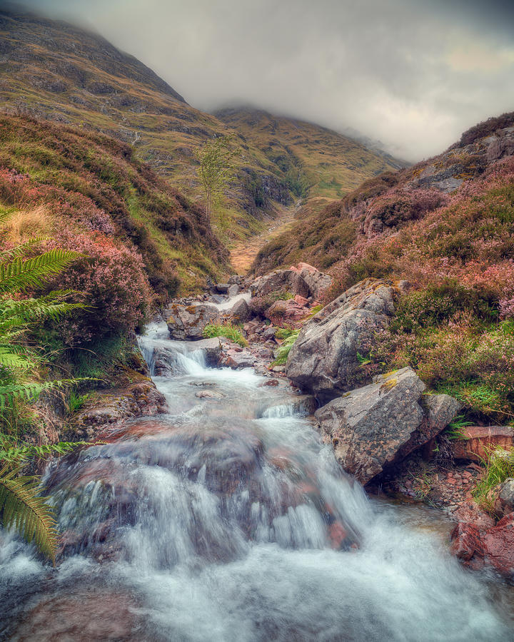 Scottish Photograph - Scottish Mountain Stream by Ray Devlin