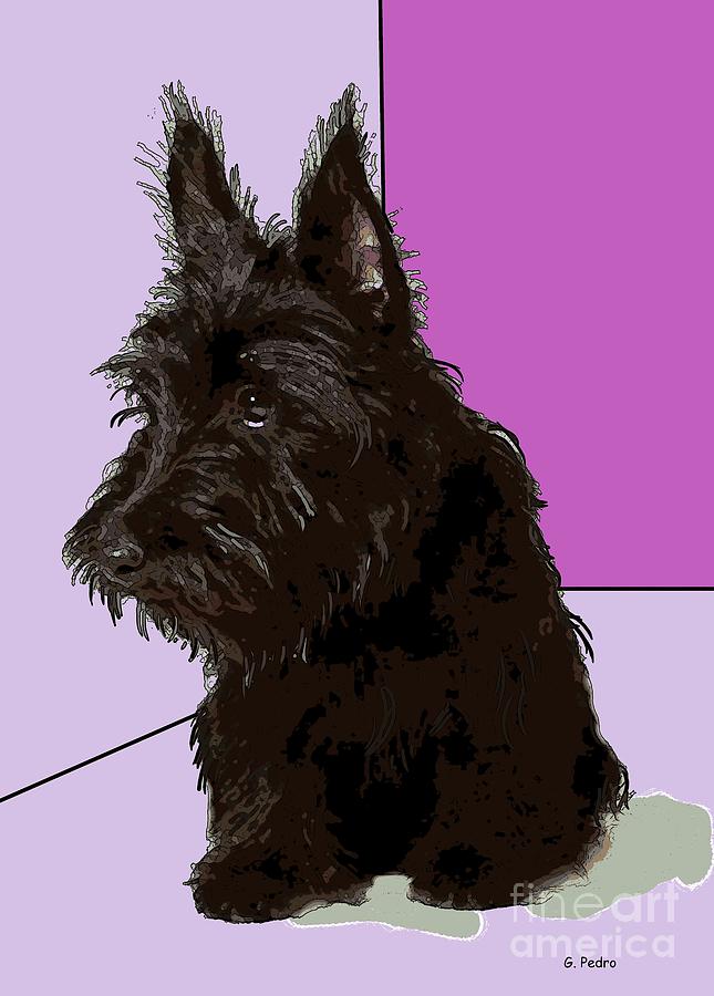 Scottish Terrier Photograph by George Pedro