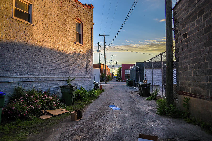 Richmond Photograph - Scotts Addition Alley Way by Doug Ash