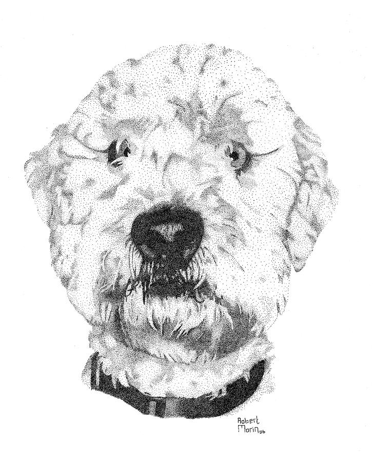 Scotts Dog Drawing by Robert Morin