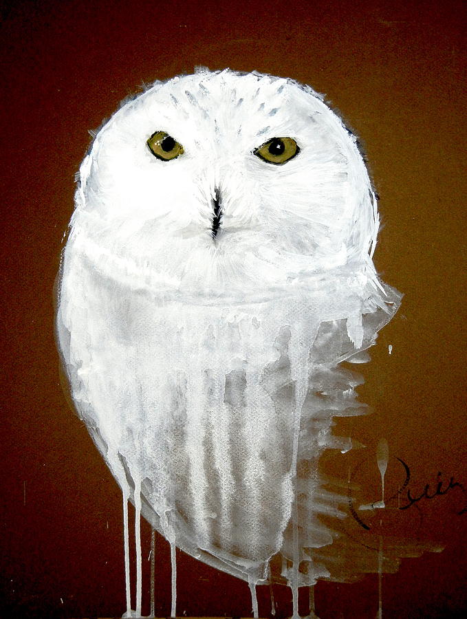 Owl Painting - Scout by Becky Phillips