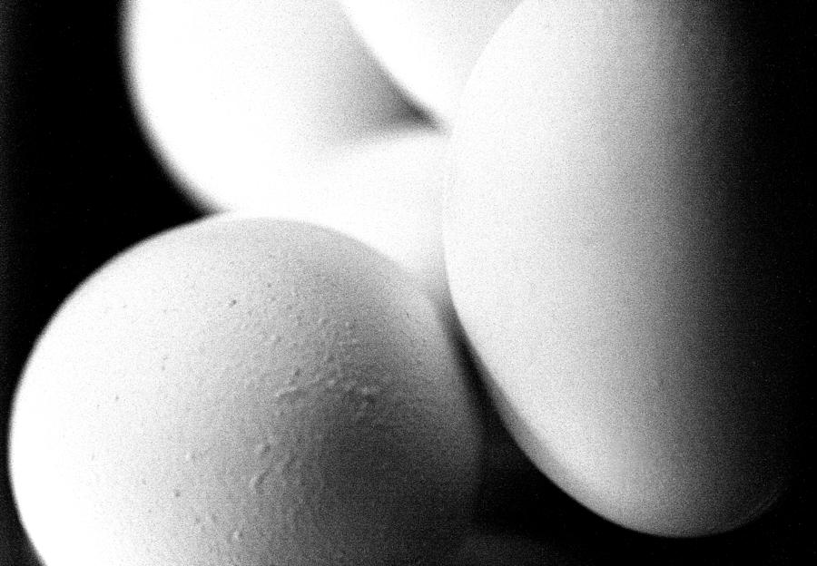 Egg Photograph - Scramble by Mary McGrath