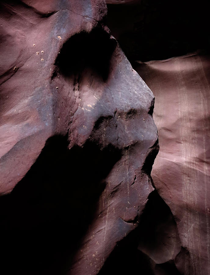 Scream Photograph by Nicholas Blackwell