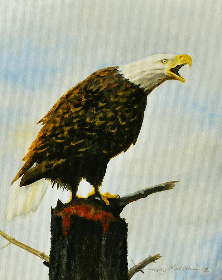 Screaming Eagle Painting by Harry Moulton