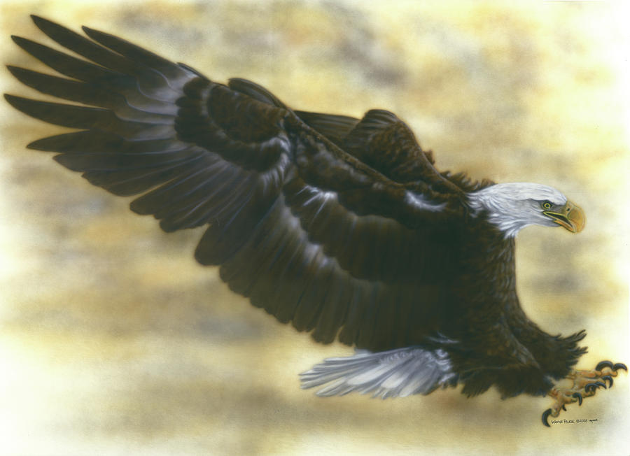 Screaming Eagle Painting by Wayne Pruse
