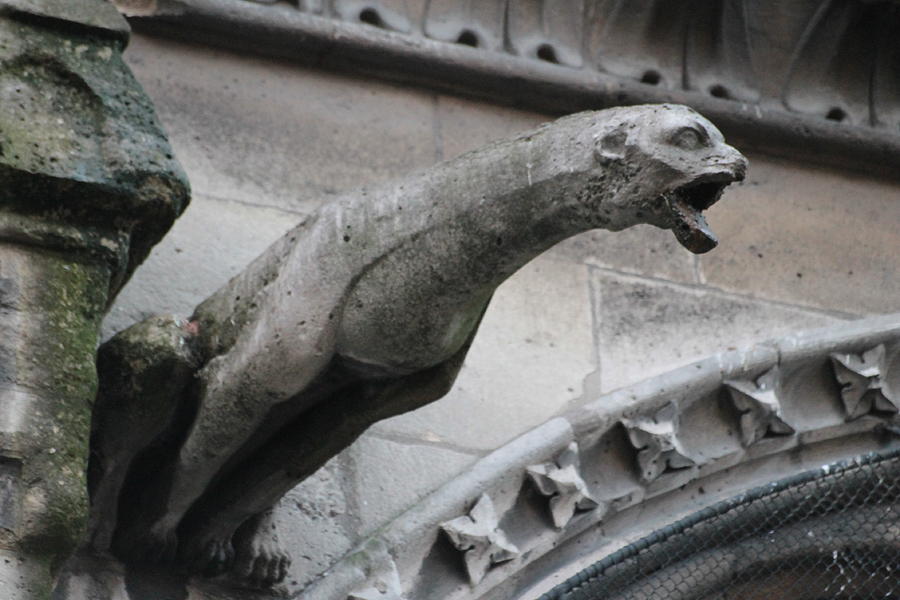 Screaming Griffon Notre Dame Paris Photograph by Christopher J Kirby